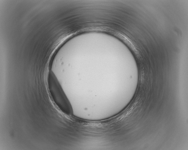 X0000115770844200912111105