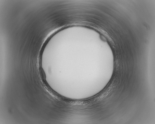 X0000115770846200912111105