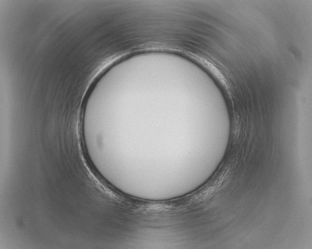 X0000115770847200912111105