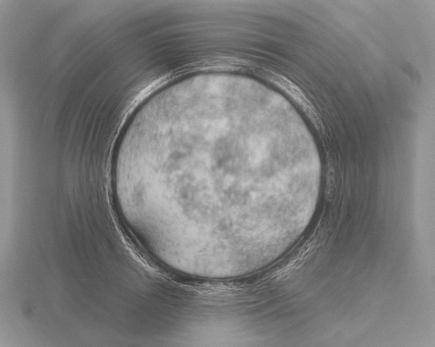 X0000115770850200912111105