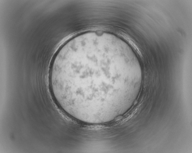 X0000115770853200912111105