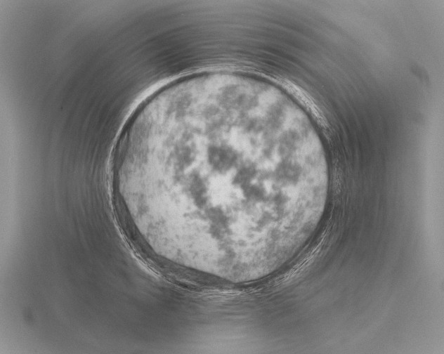 X0000115770854200912111105