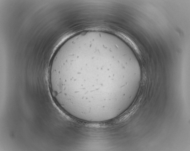 X0000115770855200912111105