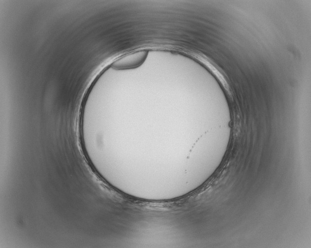 X0000115770861200912111105