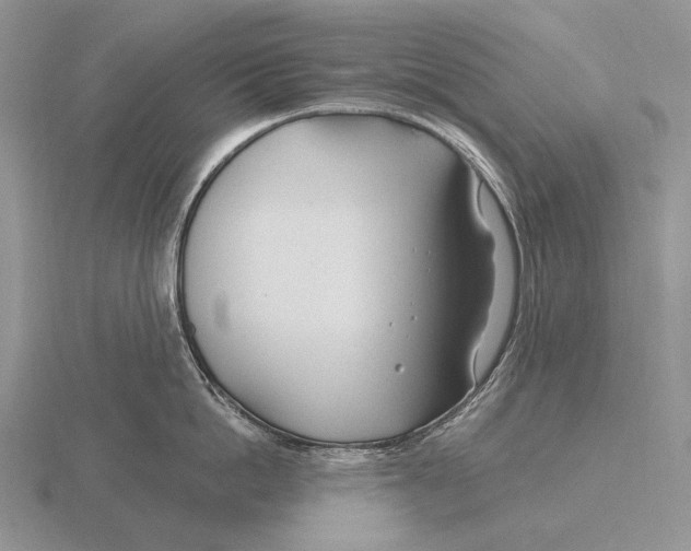 X0000115770862200912111105