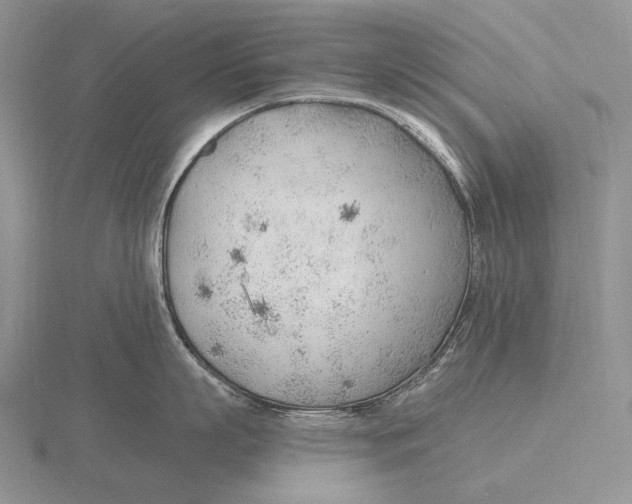 X0000115770863200912111105