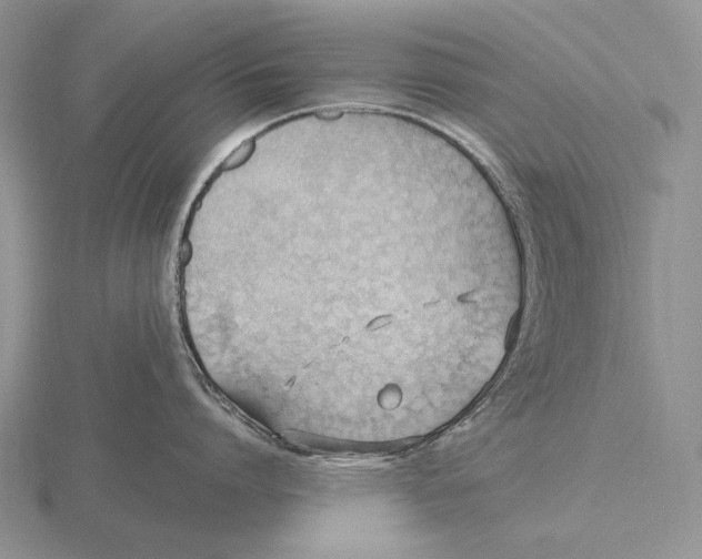 X0000115770864200912111105