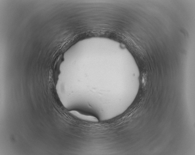 X0000115770867200912111104