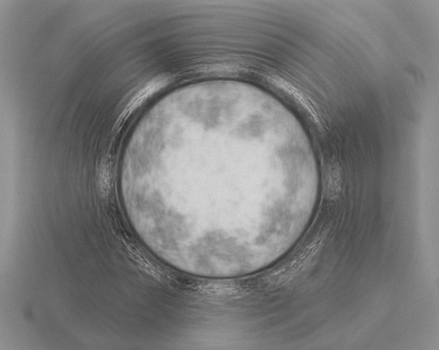 X0000115770874200912111104