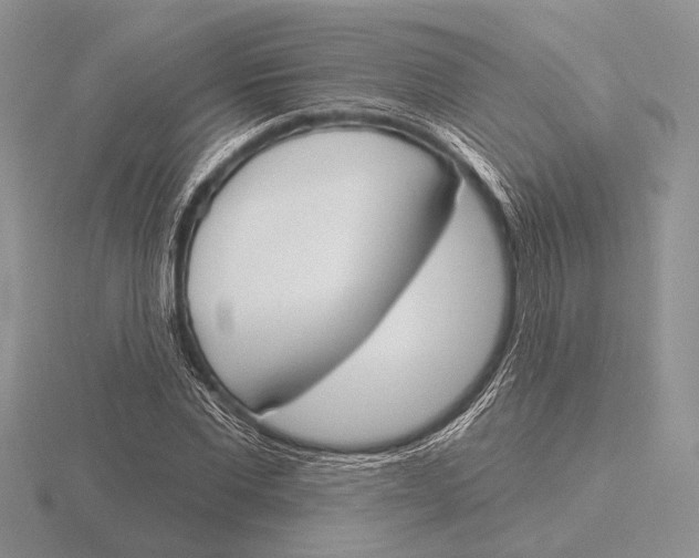 X0000115770877200912111104