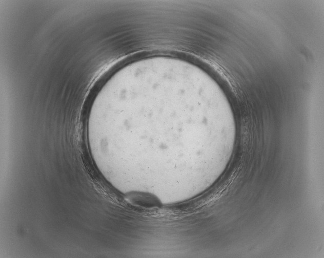 X0000115770879200912111104