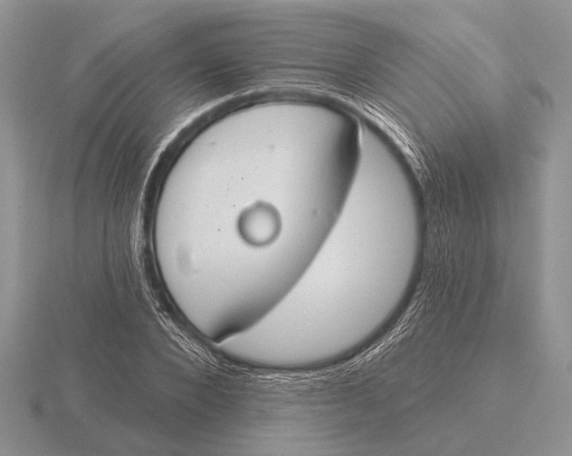 X0000115770880200912111104