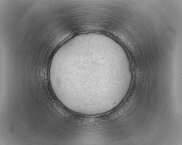 X0000115770881200912111104