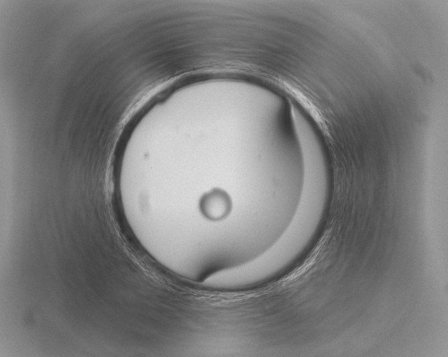 X0000115770885200912111104