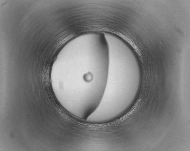 X0000115770889200912111104