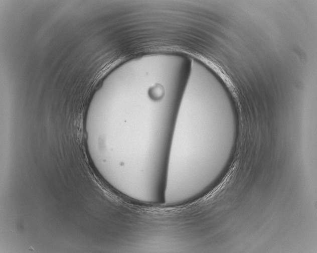 X0000115770897200912111104