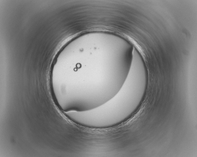 X0000115770901200912111104