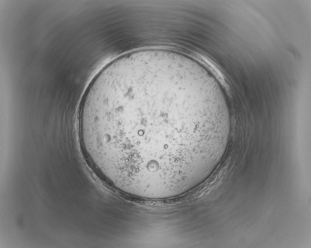 X0000115770907200912111104