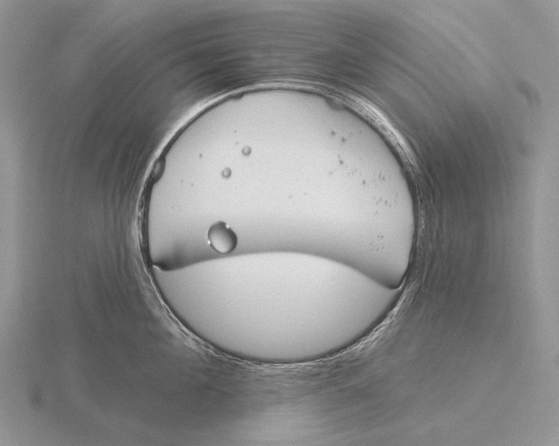 X0000115770908200912111104