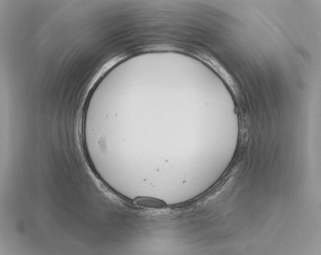 X0000115770909200912111104