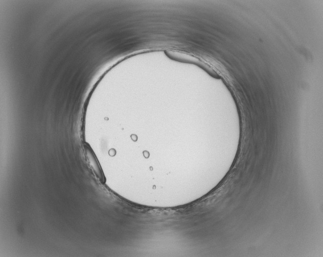 X0000115770912200912111104