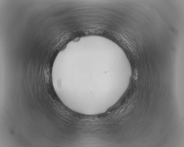 X0000115770915200912111103