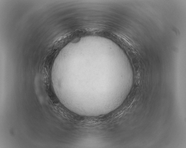 X0000115770917200912111103