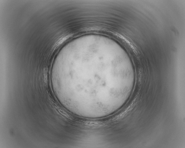 X0000115770921200912111103