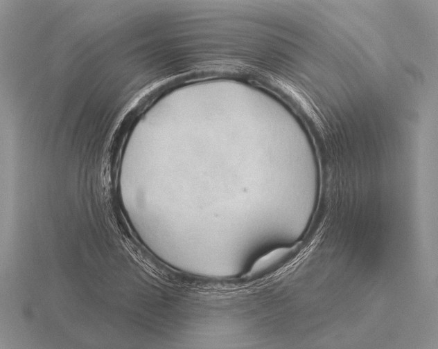 X0000115770923200912111103