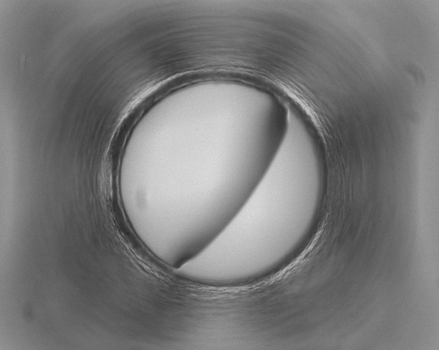 X0000115770925200912111103