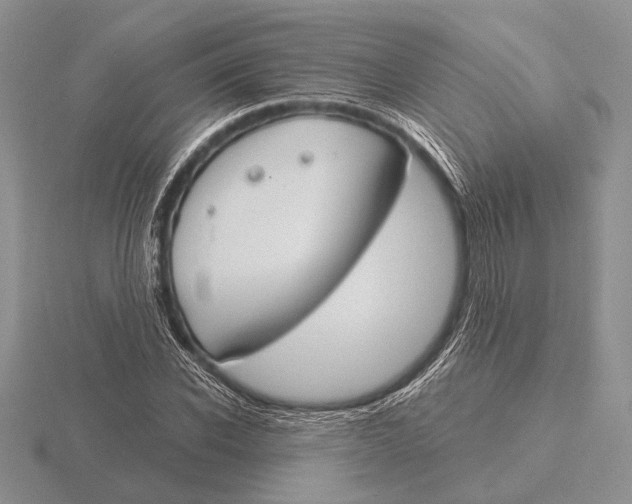 X0000115770926200912111103