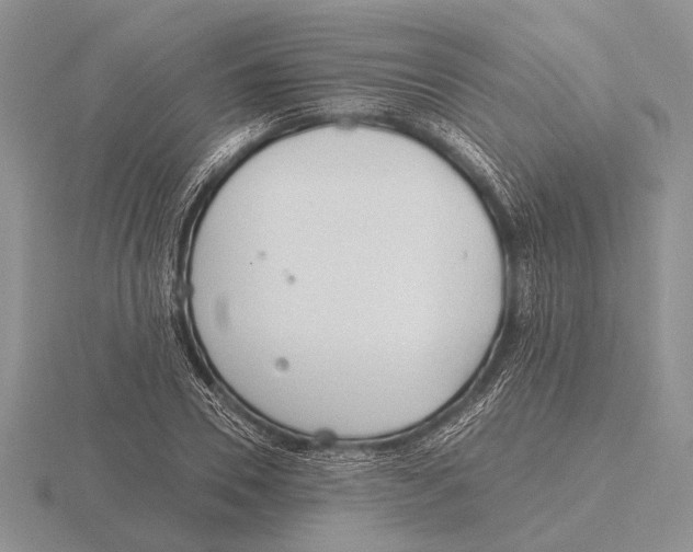 X0000115770930200912111103