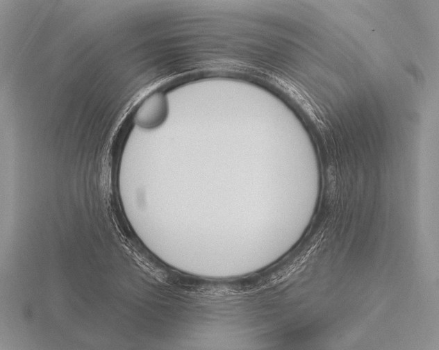 X0000115770931200912111103