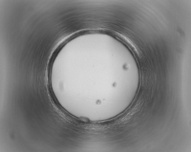 X0000115770935200912111103