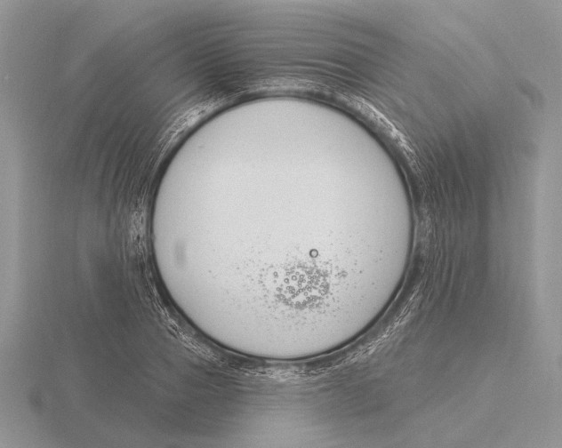 X0000115770937200912111103