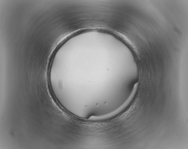 X0000115770943200912111103