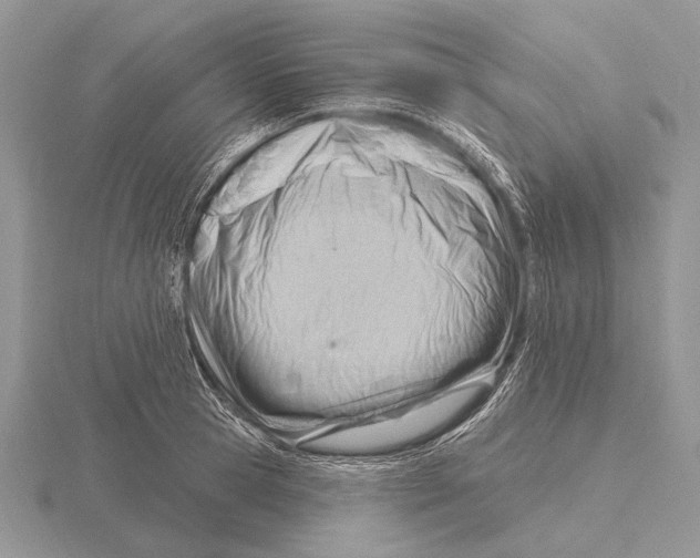 X0000115770945200912111103