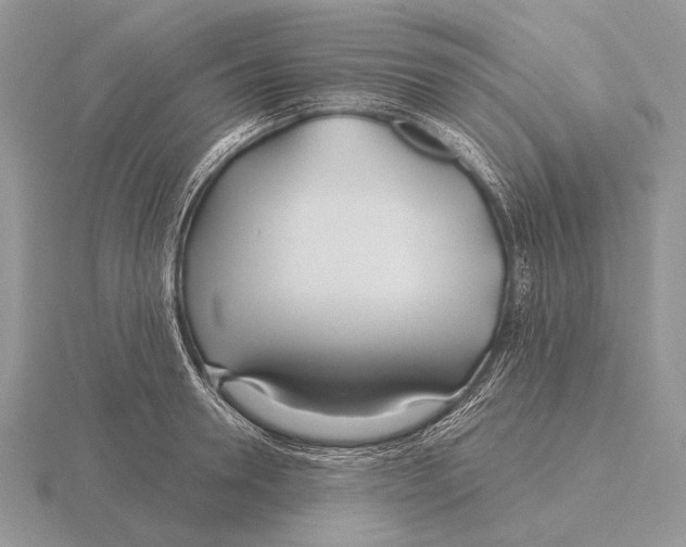 X0000115770946200912111103