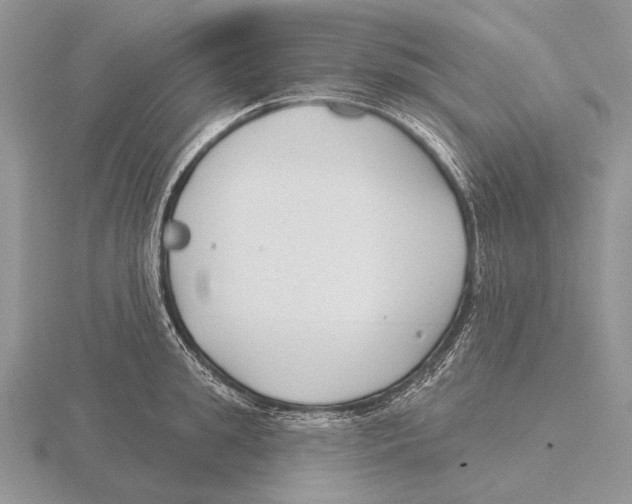 X0000115770949200912111103