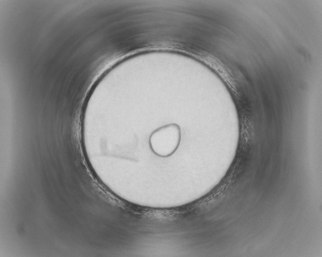 X0000115770950200912111103