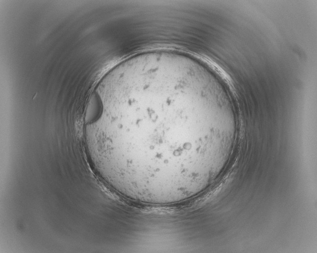 X0000115770953200912111103