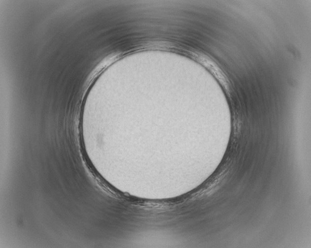 X0000115770954200912111103