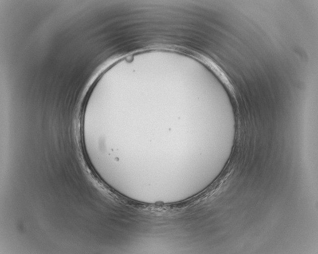 X0000115770955200912111104