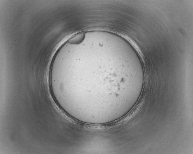 X0000115770957200912111104