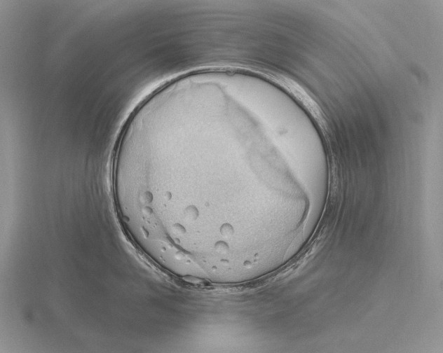 X0000115770958200912111104