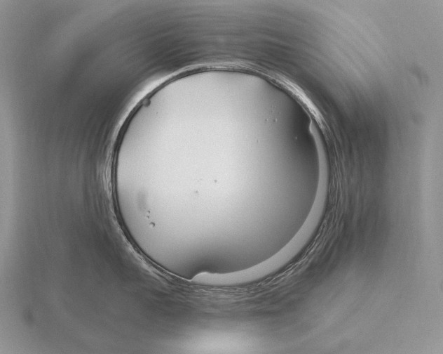 X0000115770959200912111104