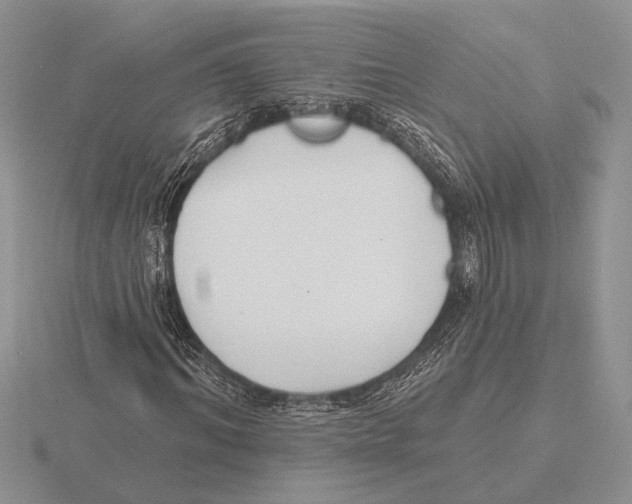 X0000115770964200912111103