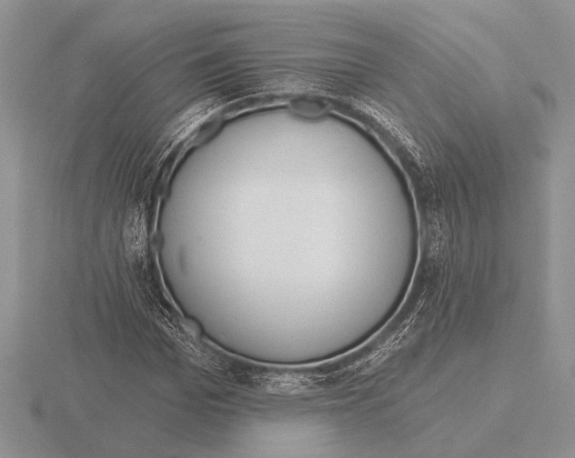 X0000115770969200912111103