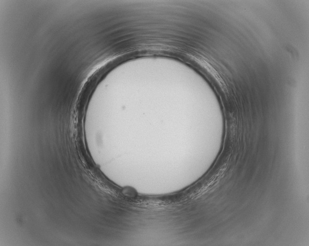 X0000115770971200912111103