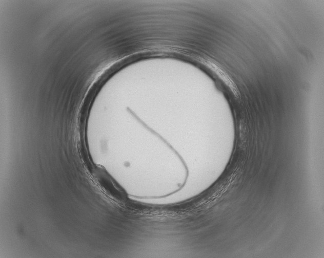 X0000115770972200912111103